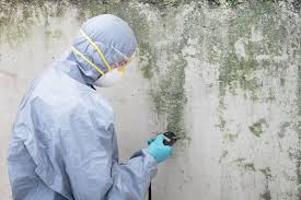 Best Asbestos and Lead Testing During Mold Inspection in Bartonsville, MD